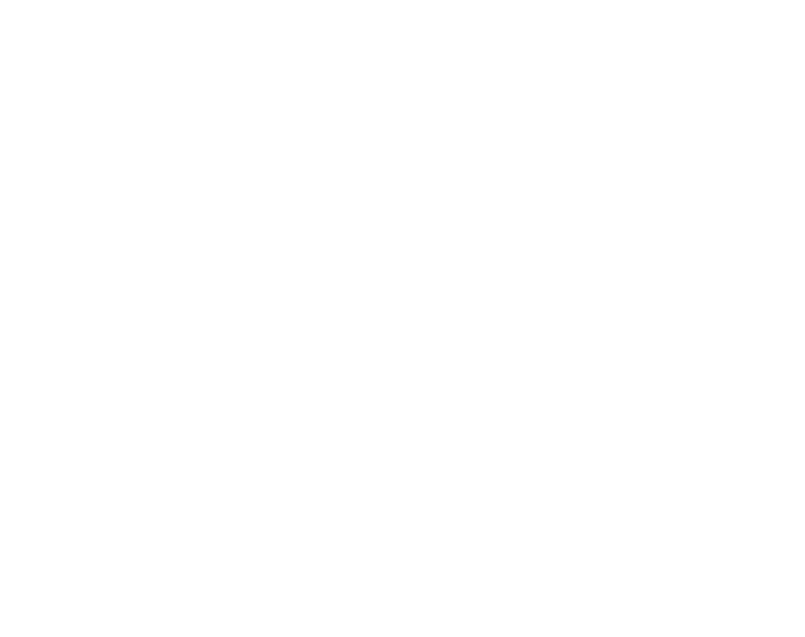 LIDERANÇA SINDICO EXECUTIVO