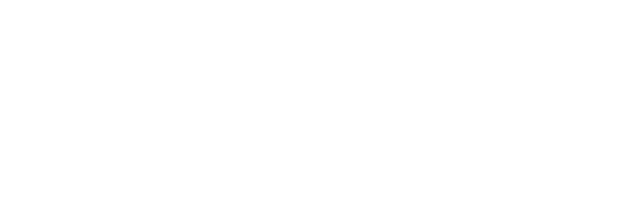 Liderança Sindico Executivo